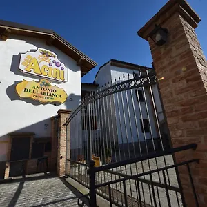 https://gli-acini.it-lombardy.com